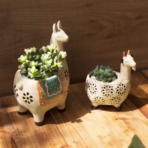Llama pot for succulents