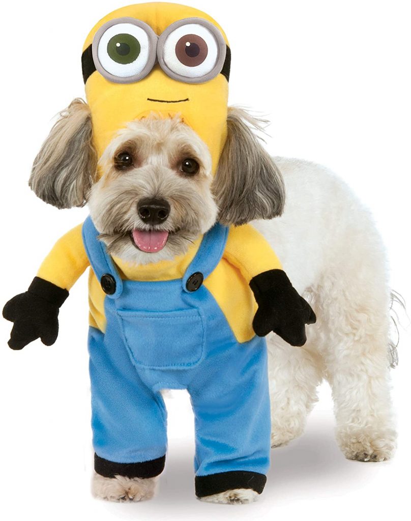 30 Thoughtful Gifts for Minion Lovers That Would Leave Them Speechless ...