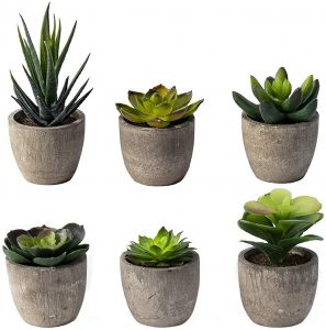 Small Artificial Succulent Plants