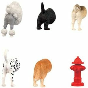 Dog Butt Magnets