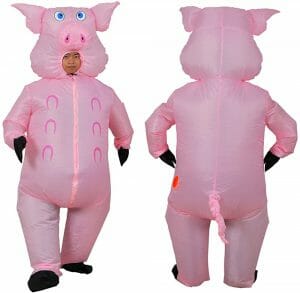 Three Little Pigs Costume